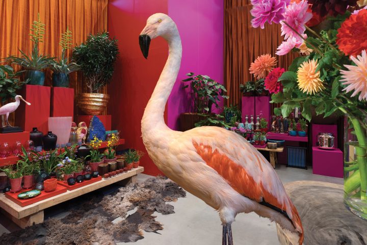 ambiance created with ﬂowers on a number of high proﬁle occassions.