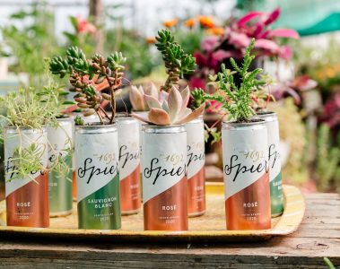 Spekboom plants thriving in upcycled wine cans with "Spier" branding, displayed on a yellow tray, embodying sustainable plant cultivation at the Tree-preneurs project, emphasizing the innovative upcycling of everyday items for environmental growth.